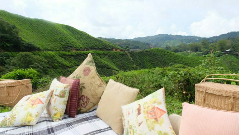 Cameron Highlands Resort Picnic Review