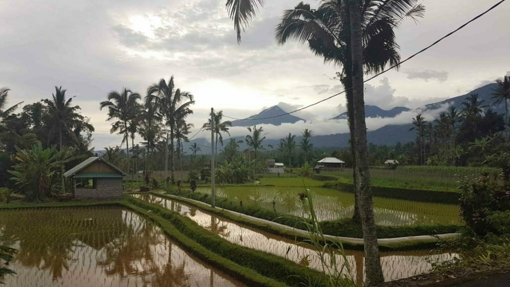 Comment se rendre au nord de Bali