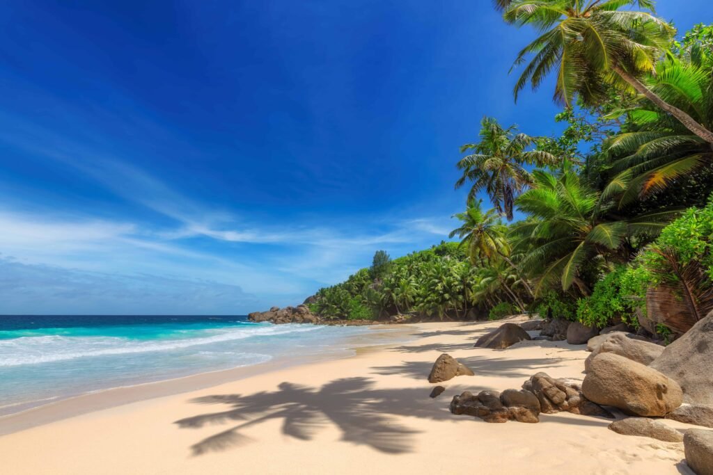 beautiful beach in Barbados
